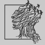 “Bird Face ” – Premium Metal Duvar Tablosu